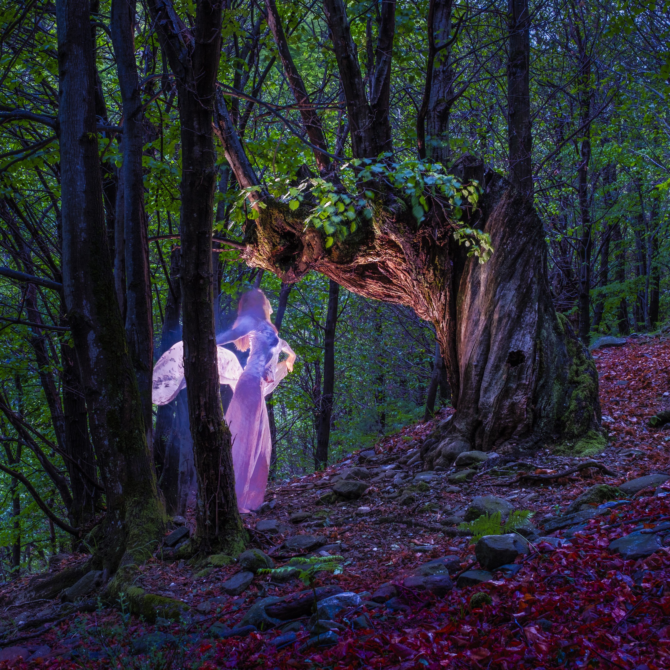 Crop of the seventh photograph of Noon Moon, a contemporary photo book by artist Nicolas Delaleu. Noon Moon is a photographic account of a dreamlike nocturnal journey through a fantastical landscape.